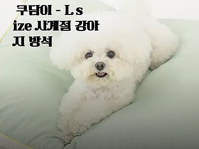 바잇미X엘르독 방석 쿠담이 L siz 관련 이미지