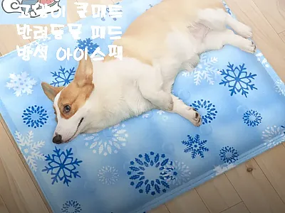 강아지 쿨방석 고양이 쿨매트, 4,5 관련 이미지 1
